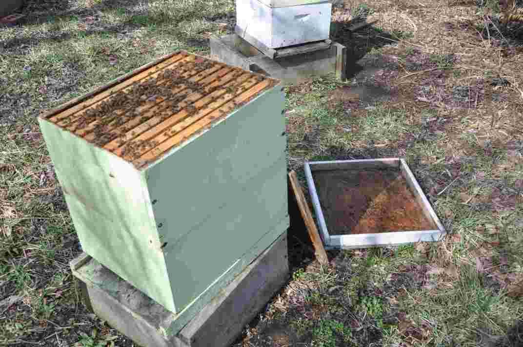 Lake Barkley Beekeepers Association